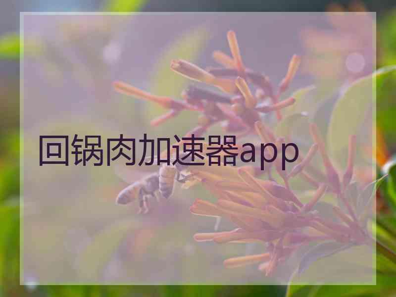 回锅肉加速器app