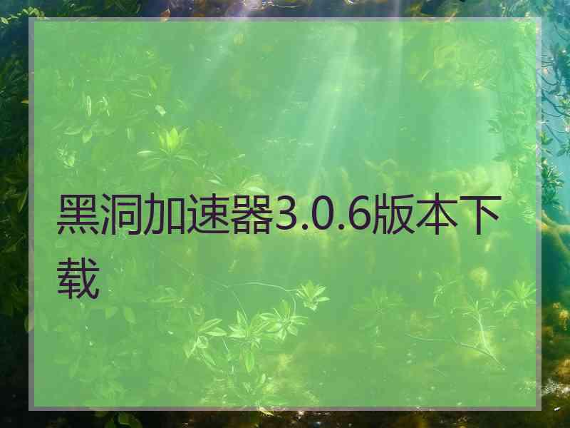 黑洞加速器3.0.6版本下载